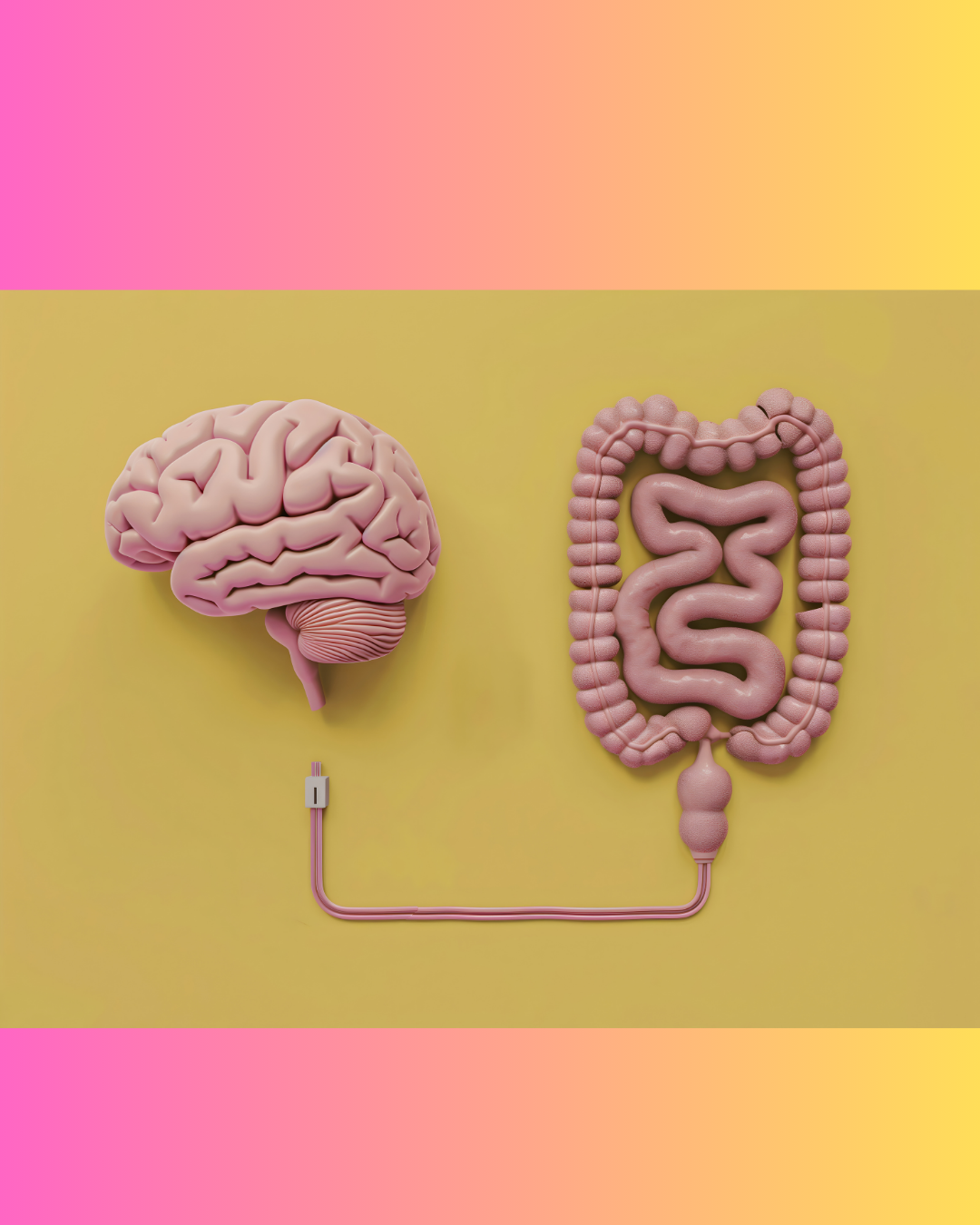 What the Science Says About the Gut-Brain Connection in Autism🧠